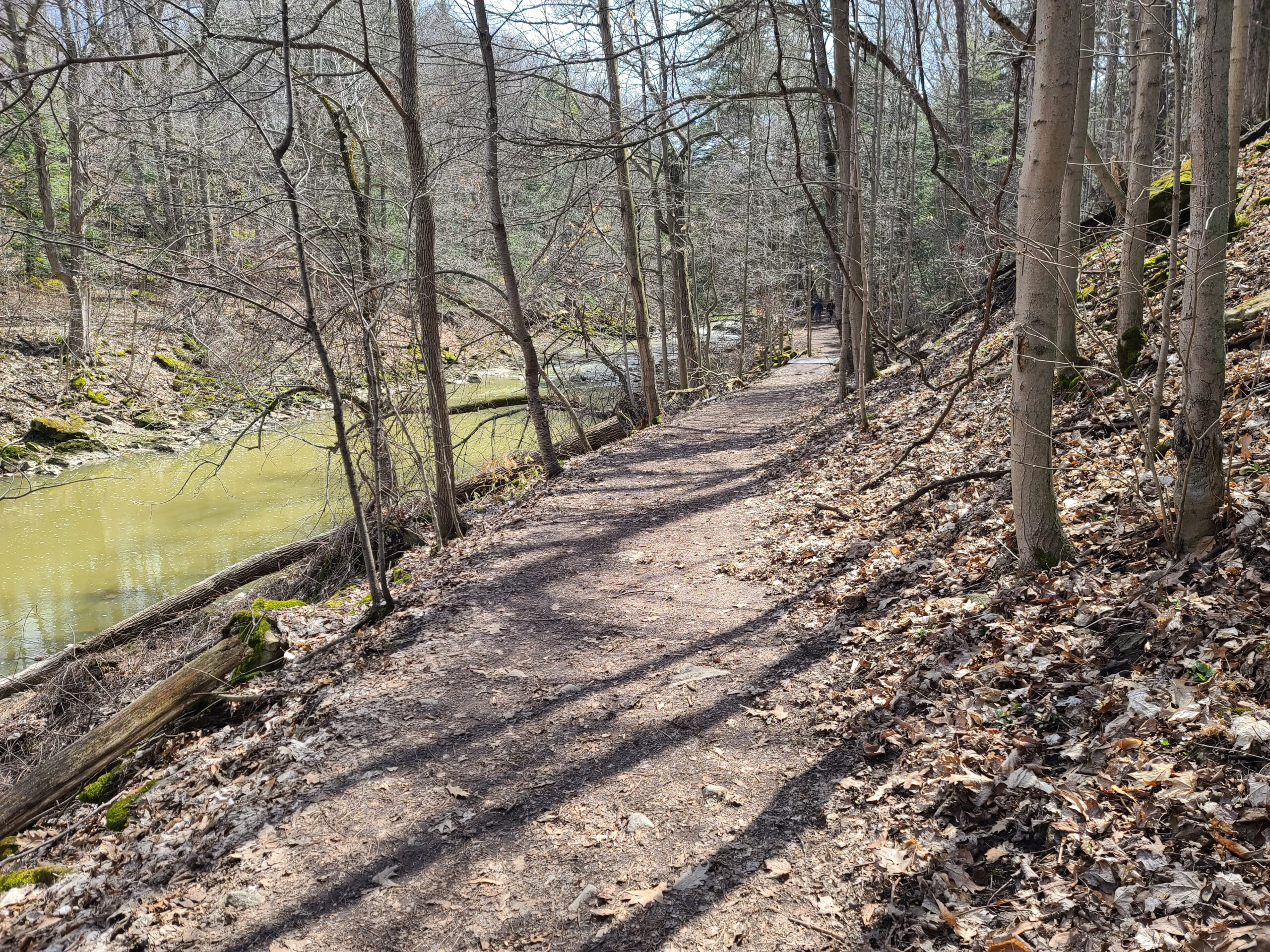 The trails at Ball's Fall's.