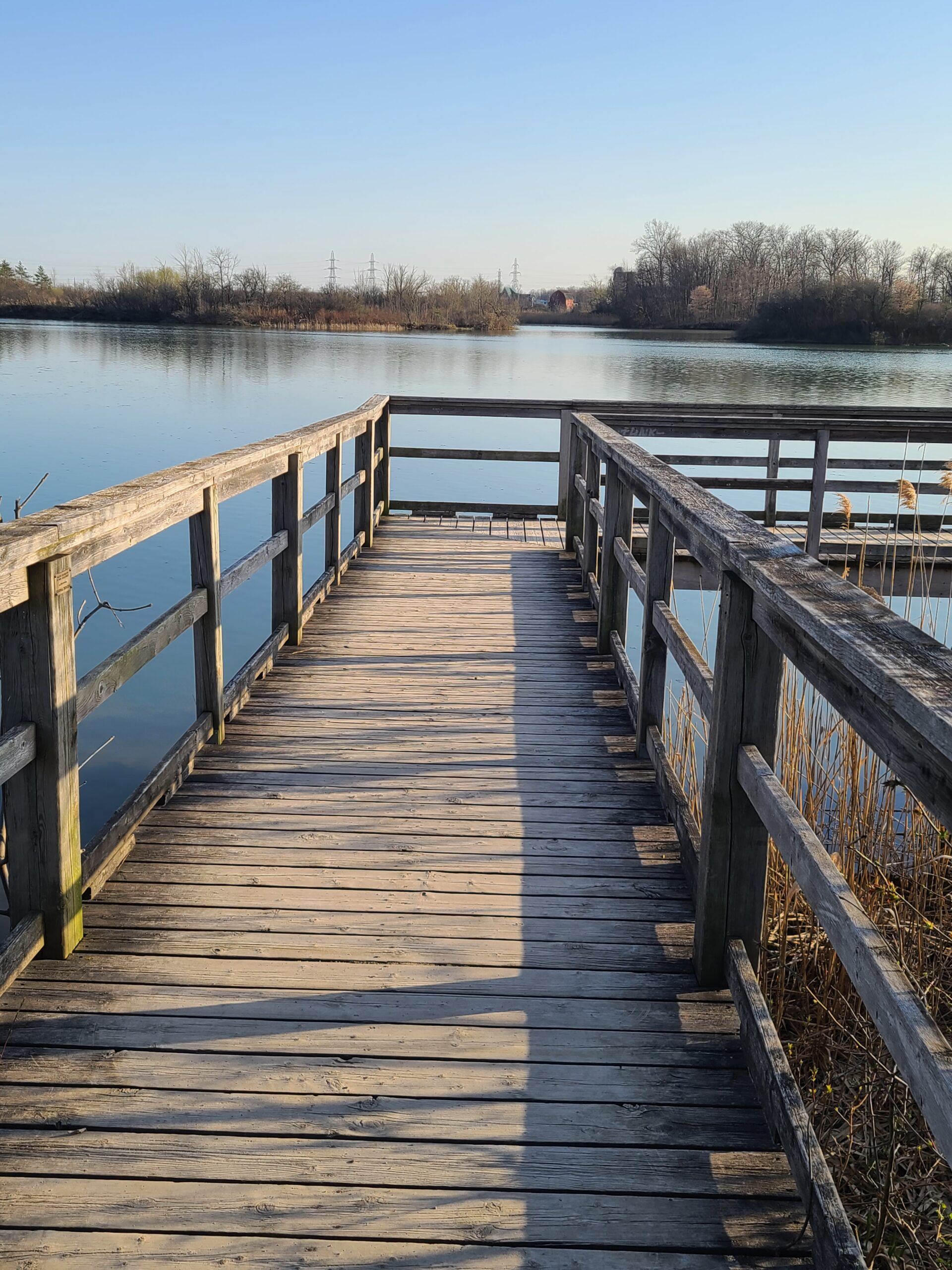 A boardwalk overlooking the lake at Mel Swart Lake Gibson Conservation Park.