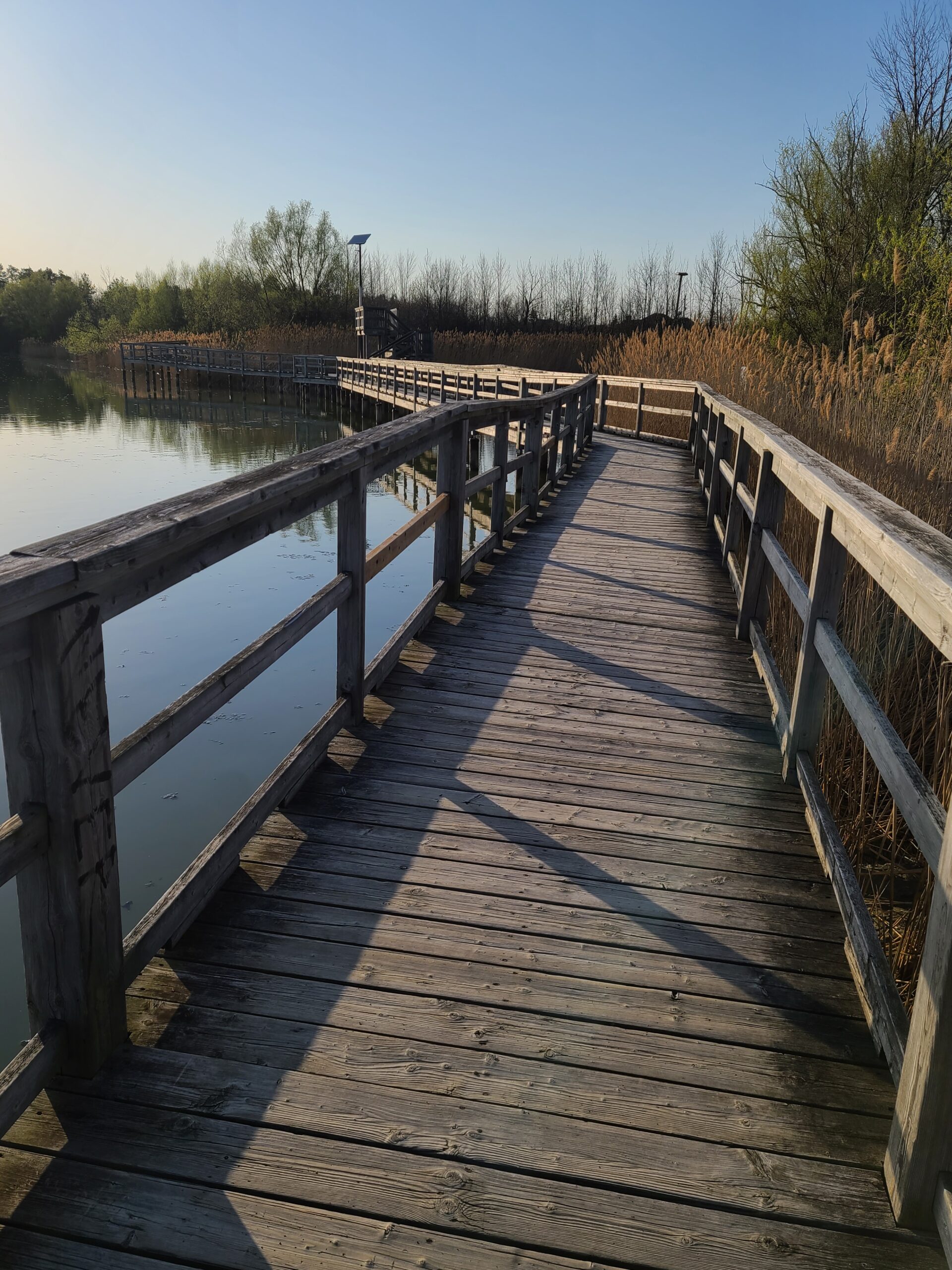A boardwalk overlooking the lake at Mel Swart Lake Gibson Conservation Park.