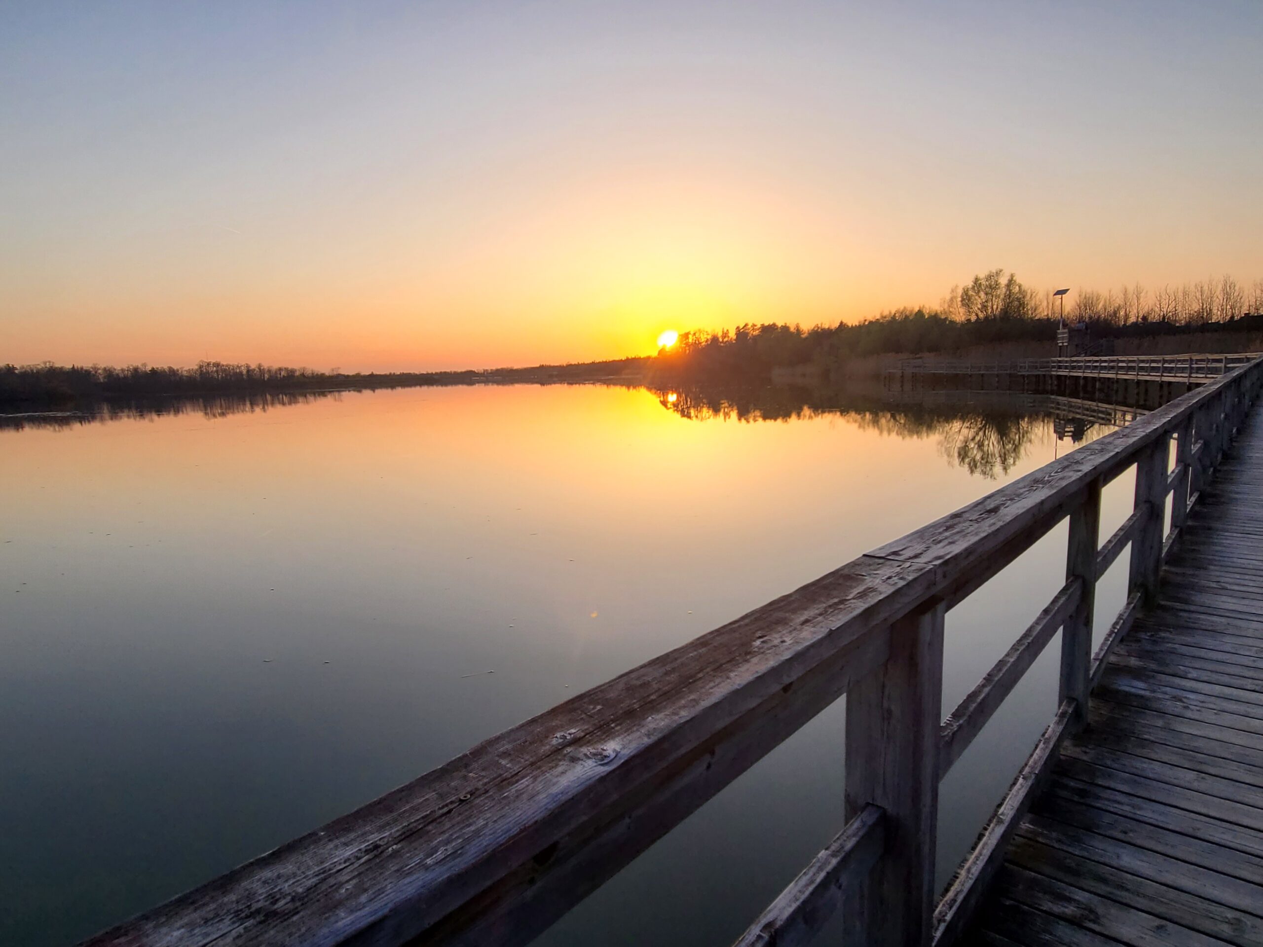 A boardwalk overlooking Lake Gibson at Mel Swart Conservation Park, at sunset..