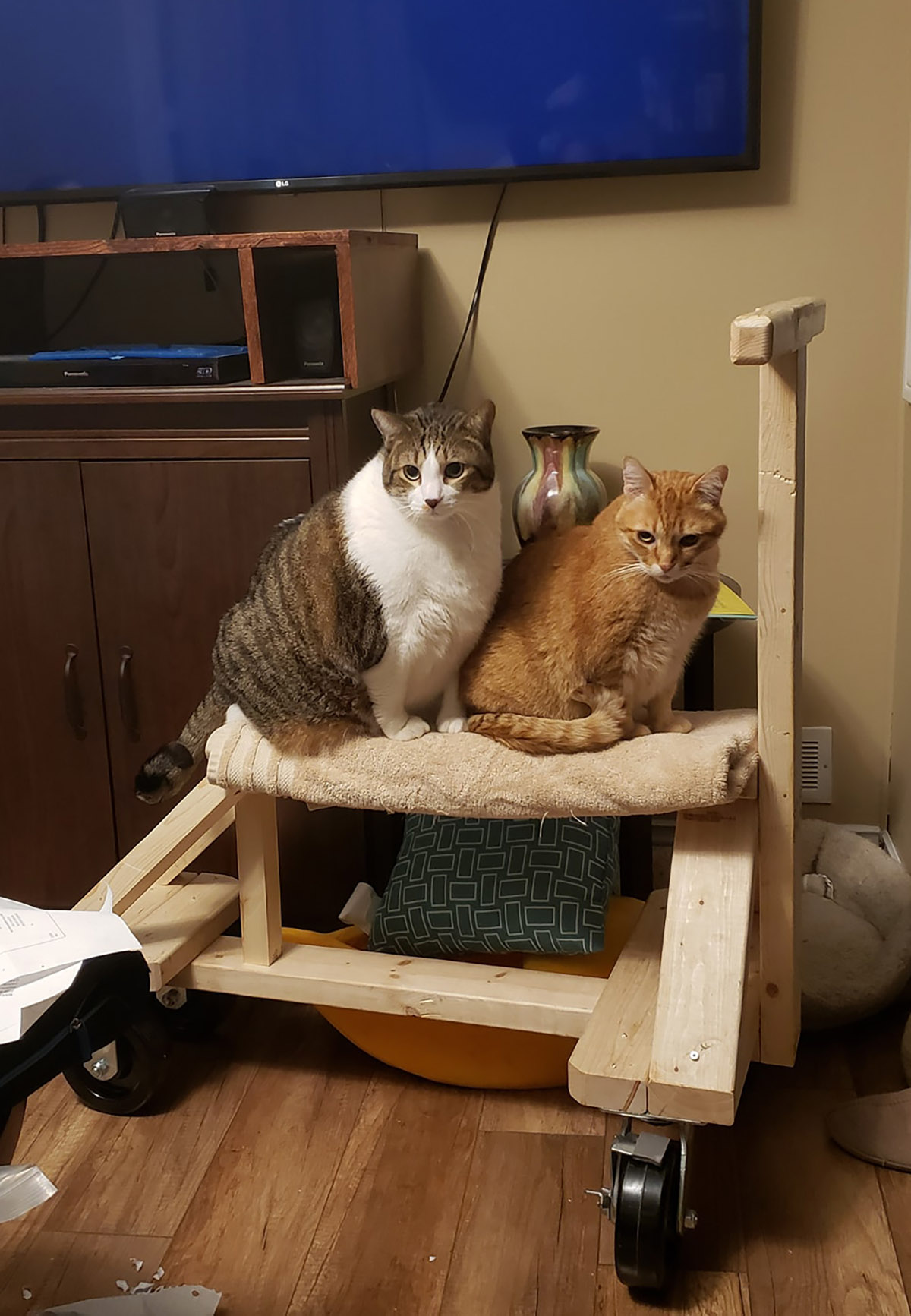 Two cats on a homemade wooden knee scooter.