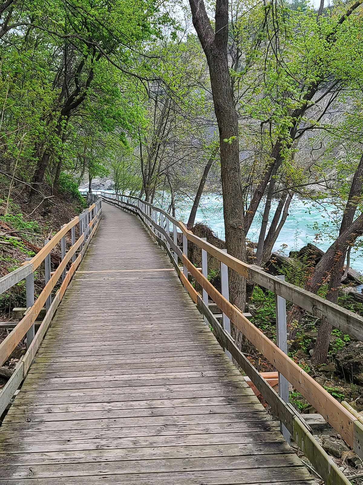 A raised wooden boardwalk, next to white water rapids.