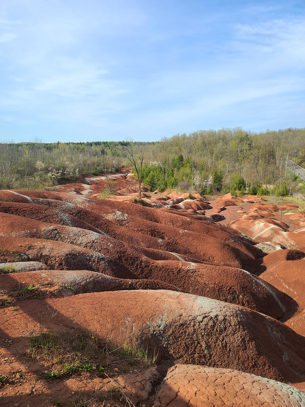 Red shale formations at the Cheltenham Badlands.