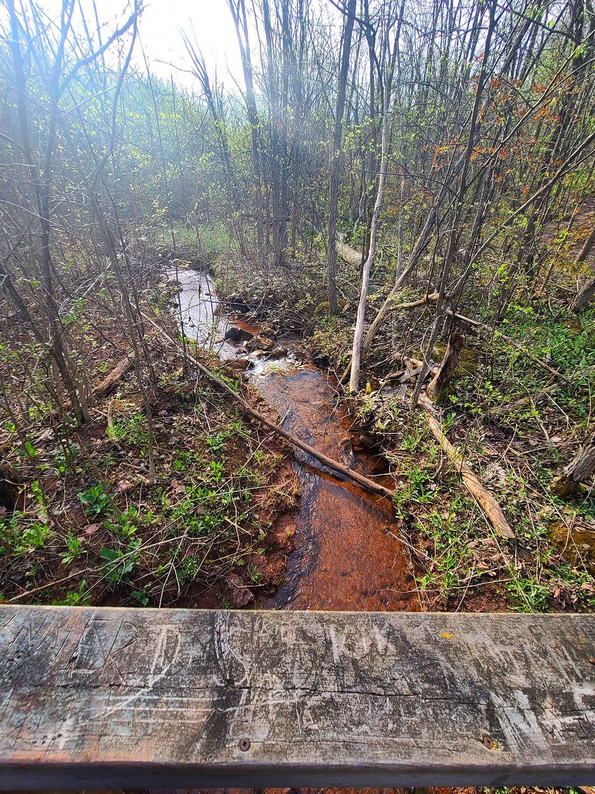 A rust coloured stream running through the woods.
