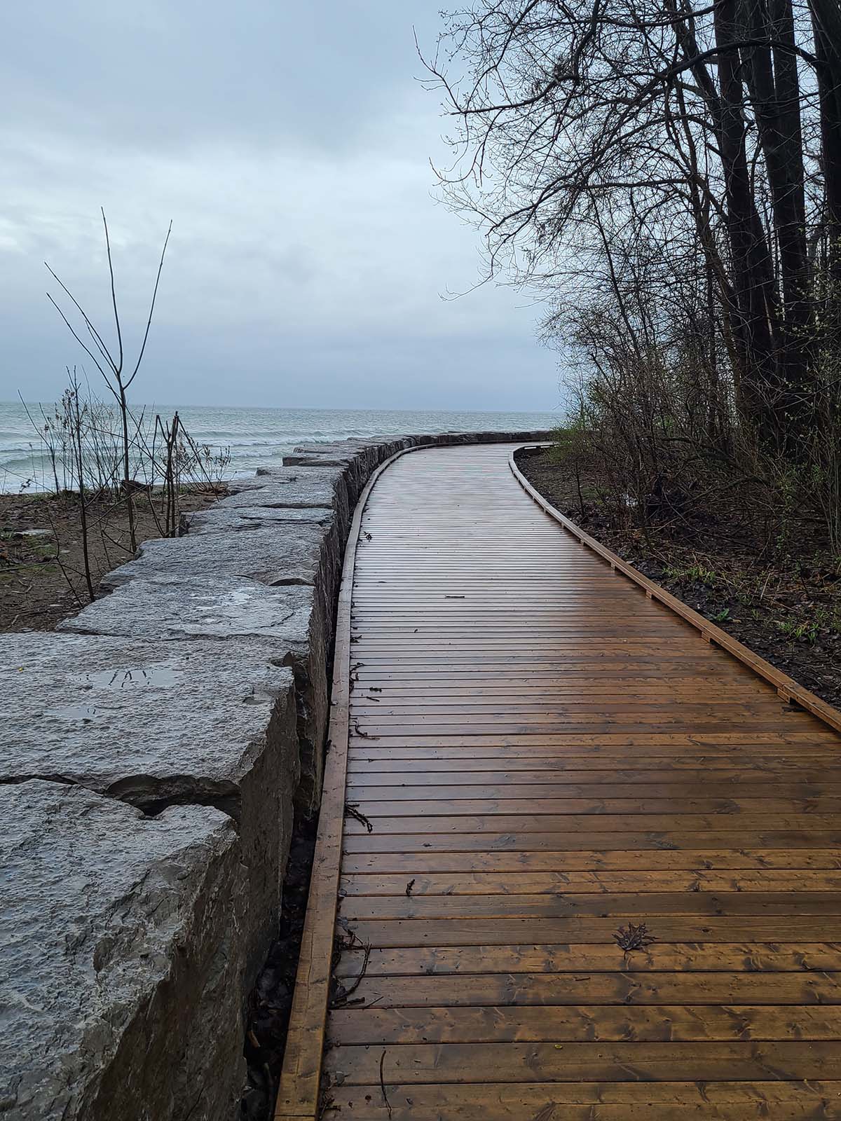 A section of boardwalk in Rattray Marsh Consveration Area, with Lake Ontario in the background.